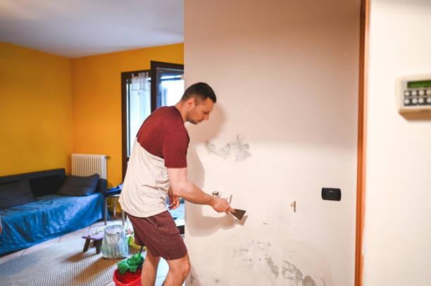 Best Mold Remediation  in South Huntington, NY